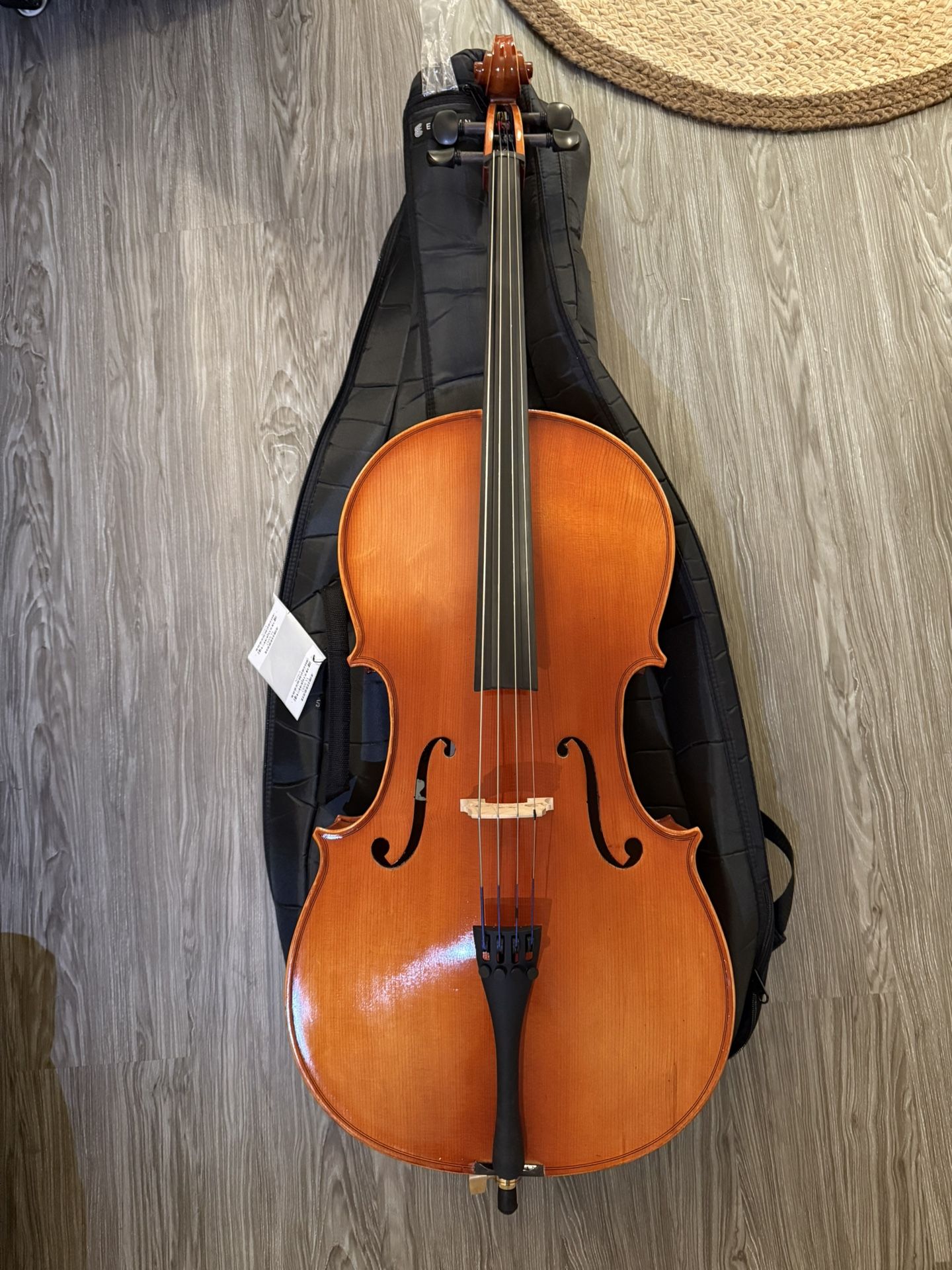 Eastman VC100 Eastman Student Cello 1/2 Size