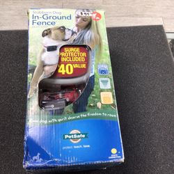 Stubborn  Dog In Ground Fence 