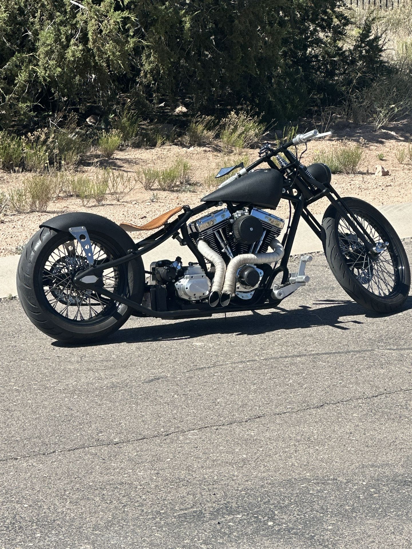 2012 exile insane johnny goodson rigid show bike