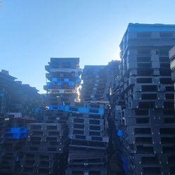 $10 Plastic Pallets For Sell 