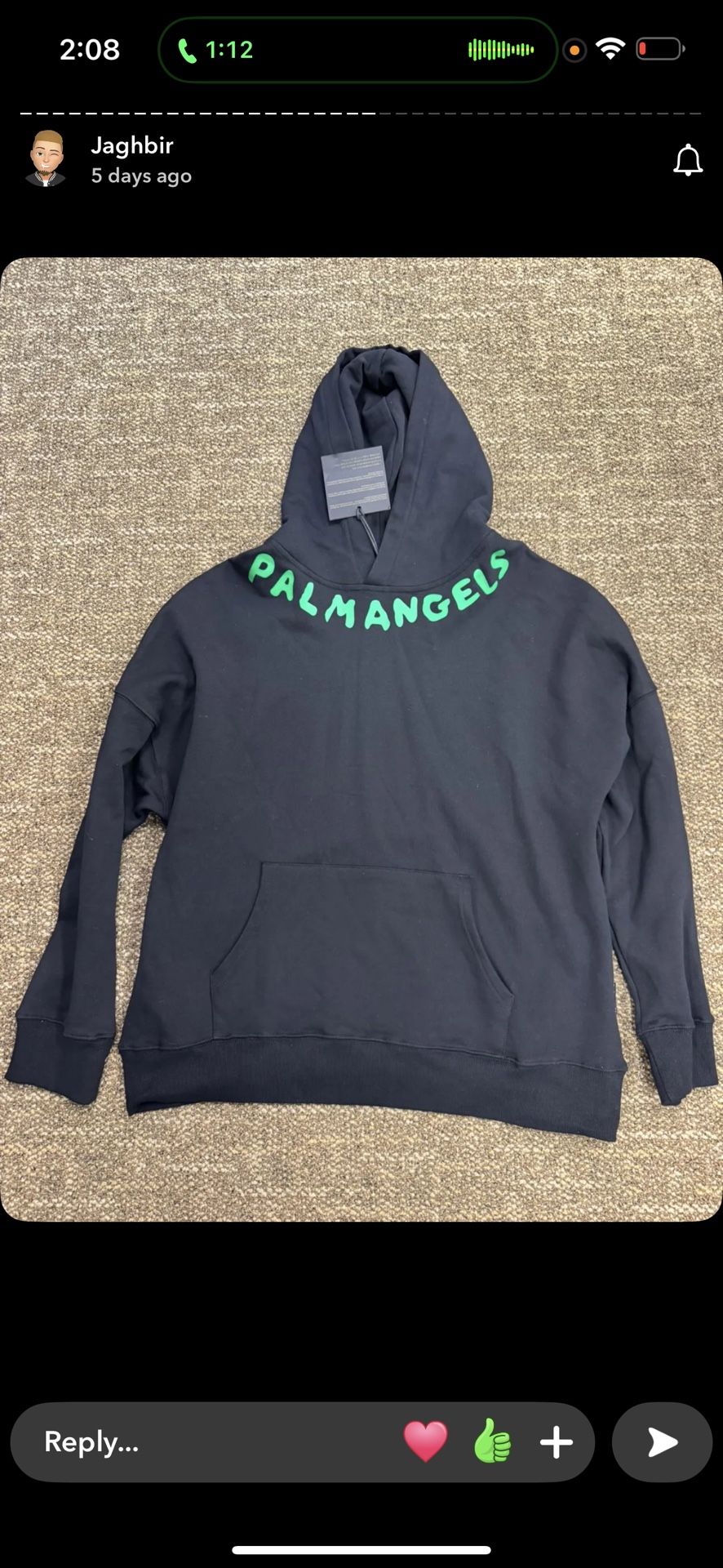 Palm Angel Hoodie