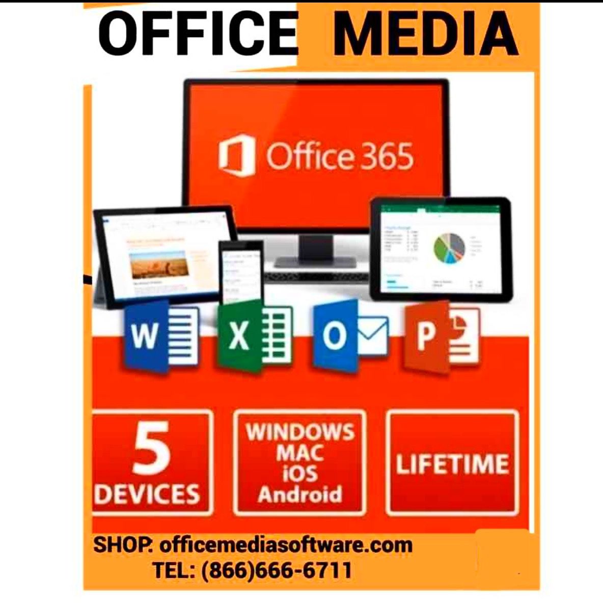 Microsoft Office 365 professional