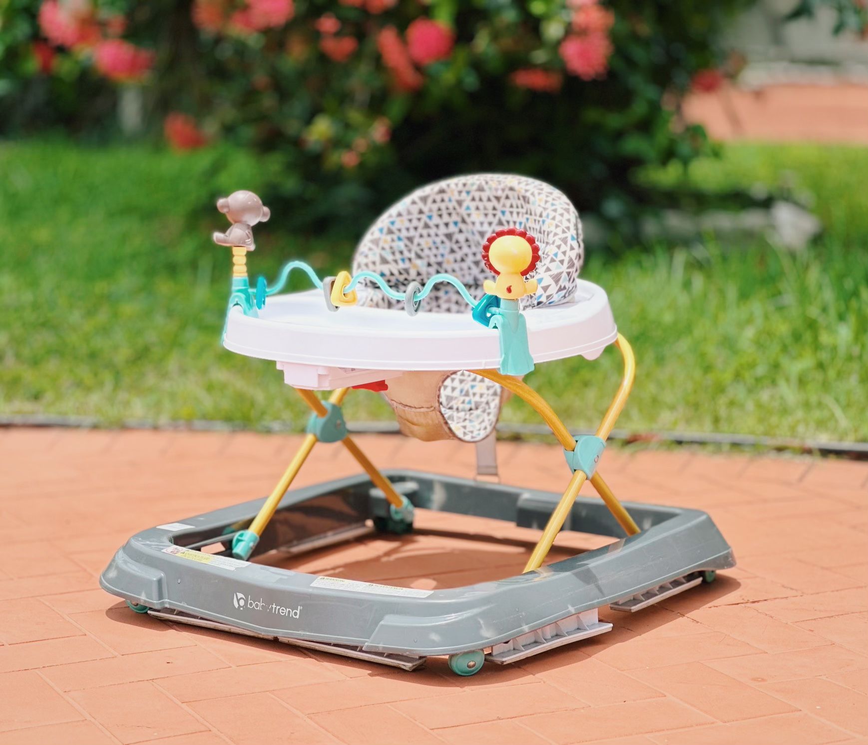 Baby Walker