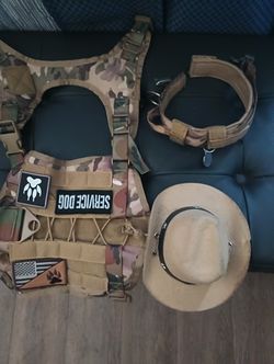 Large Size Tactical. Harness , Collar& Neon Leash