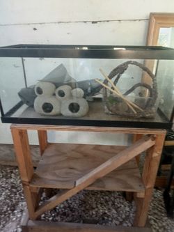 Lizard cage