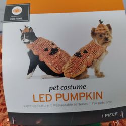Halloween Pumpkin Pet Costume Size S