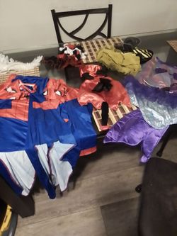 Dog costumes