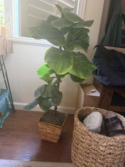 Faux Indoor Plant