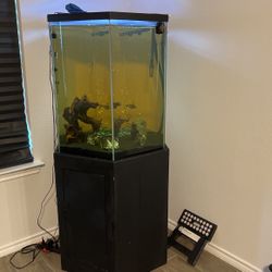 75 Gal Tank 
