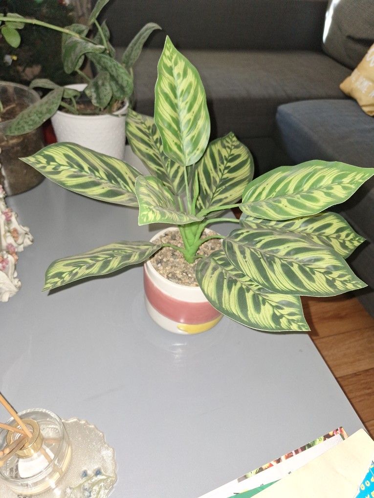 Fake Plant
