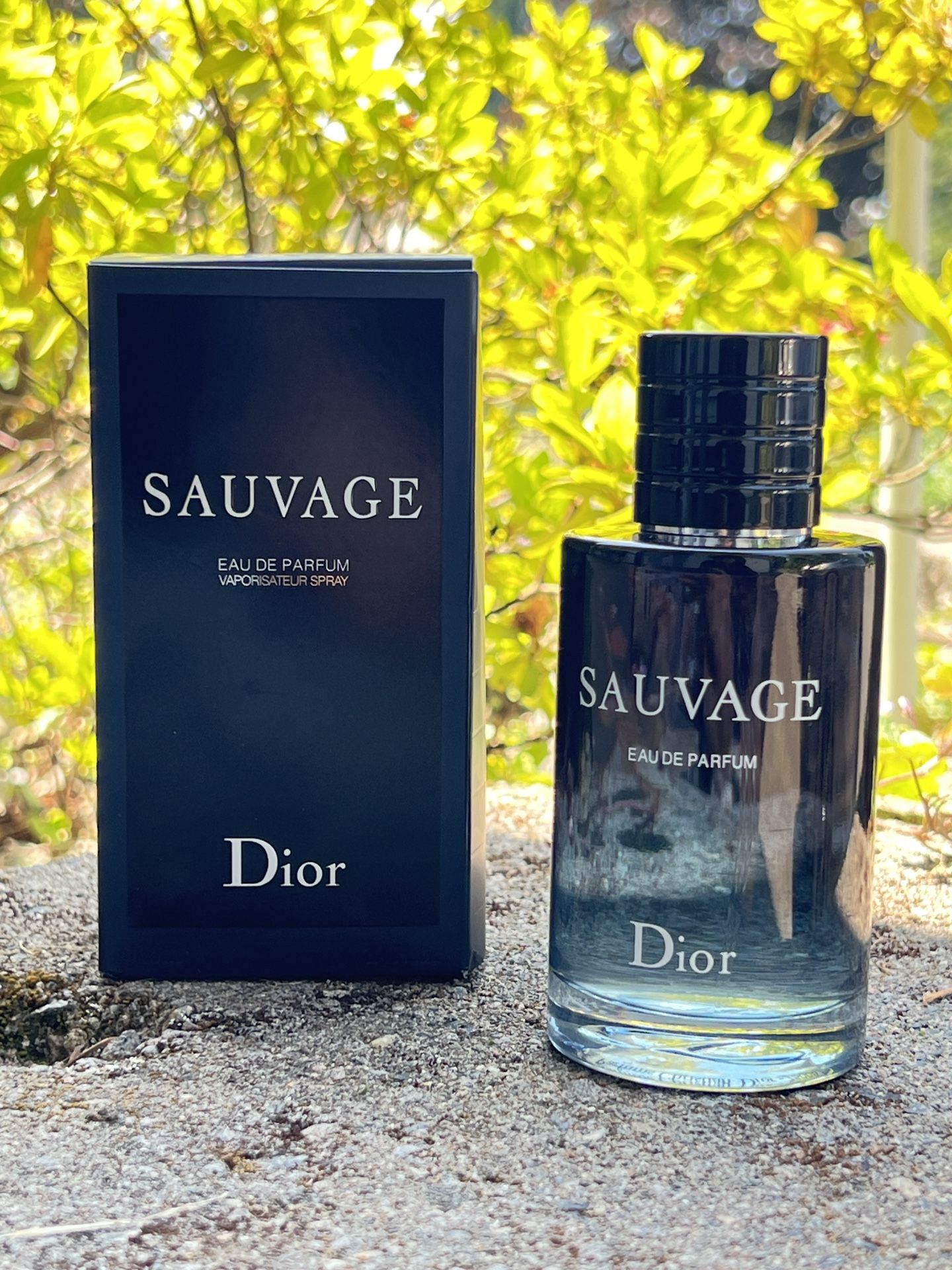 Dior Cologne