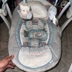 Ingenuity baby rocker