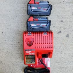 Milwaukee 18v Batteries 5.0 Ah And Charger Brand New 