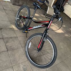 Giant Mountain Bike