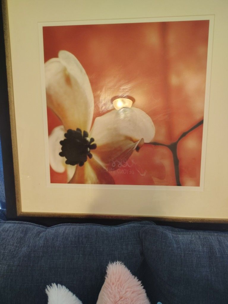 BEAUTIFUL WORK OF ART BY SOHO  ART