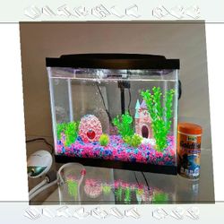 All-Set Aquarium Package - Discover Water World Magic how fine