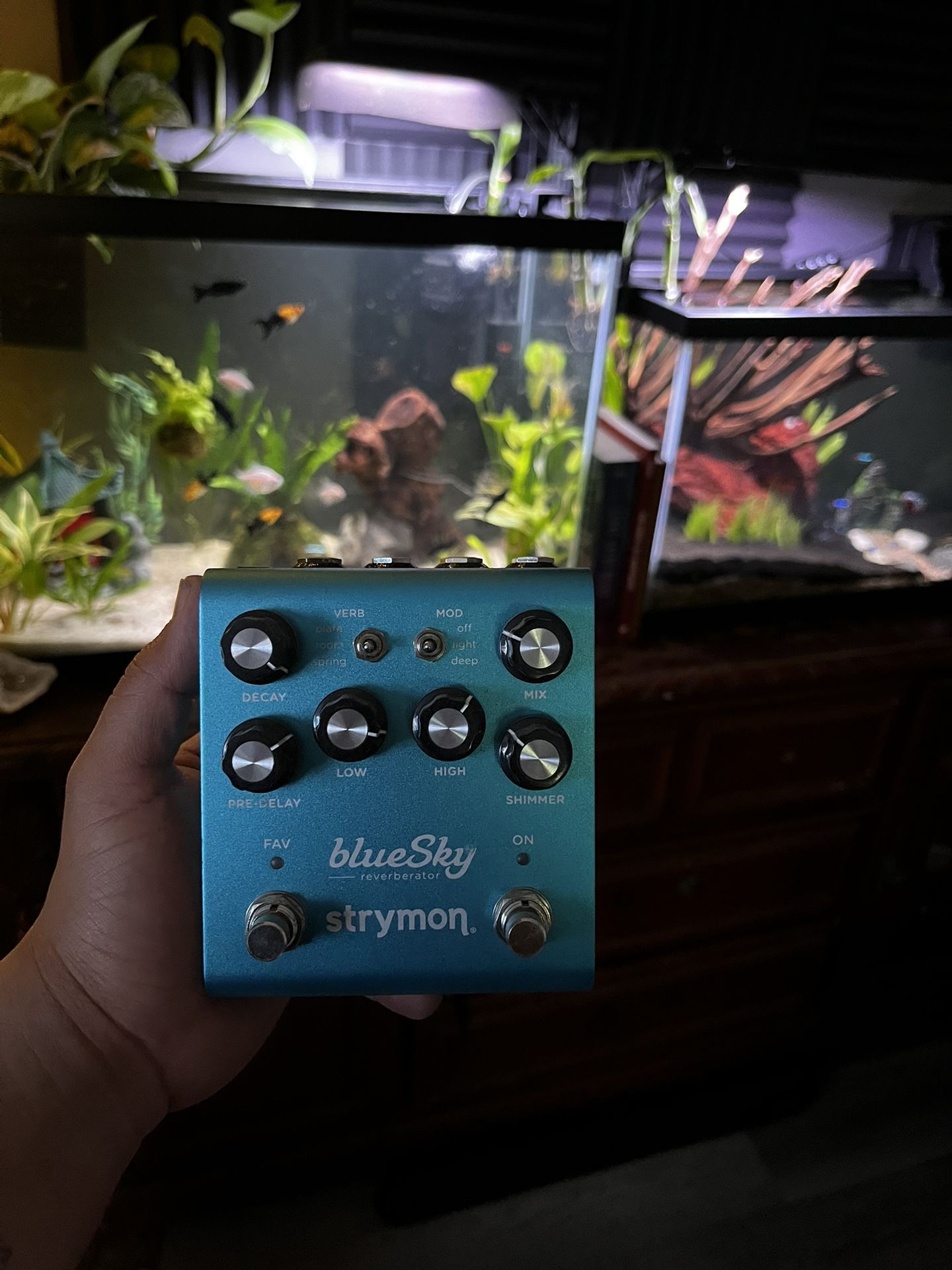 Blue Sky Pedal