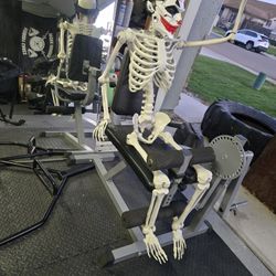 Leg Curl And Extension Exercise Machine