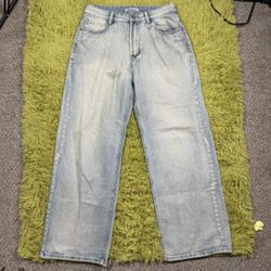 aelfric eden baggy pants/ jeans