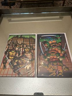 TNMT 300th issue blind bag edition