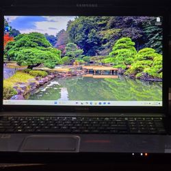 Windows 11 Pro 17.3 inches Laptop