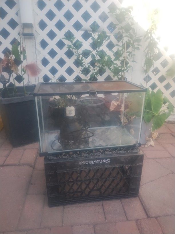 Reptile Habitat