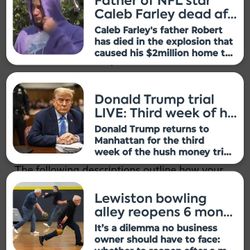 Palms And Succulents 