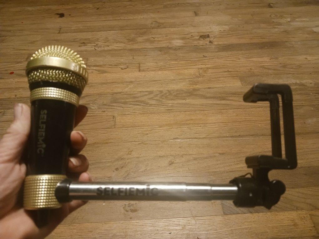 SELFIE MIC