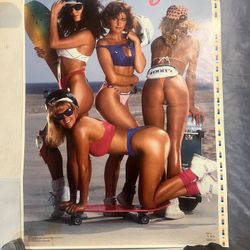 CALIFORNIA GIRLS Rare Original Vtg 1988 Skateboard Poster!