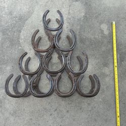 Horseshoe wine bottle stand holds 10 bottles 