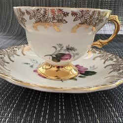 Queens Rosina Floral Design Roses Bone China Teacup & Saucer