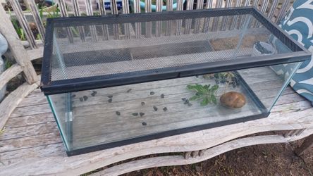 20 Gallon Aquarium Terrarium 