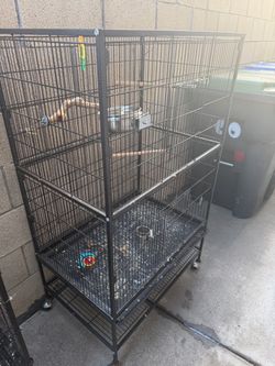 Big cage