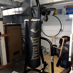 Everlast Punching Bag And Speed Bag Combo
