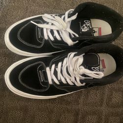 vans skateboard shoes