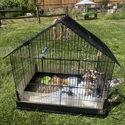 Bird Cage
