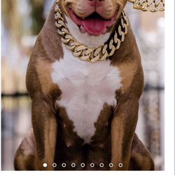 Dog Cuban Link Collar And Lead
