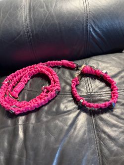 Dog Collar and Leash Set