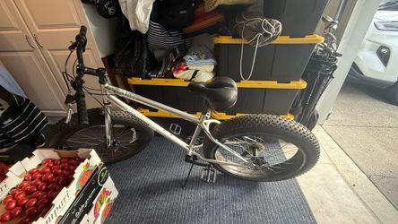 Mongoose Fat Tire Bike