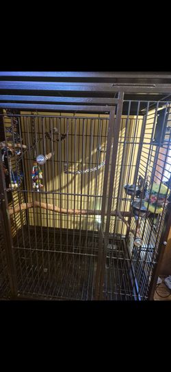 Beautiful coppertone kings cage..negotiable