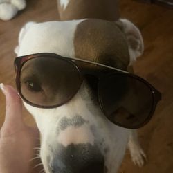 Nike Sunglasses In Perfect Condition