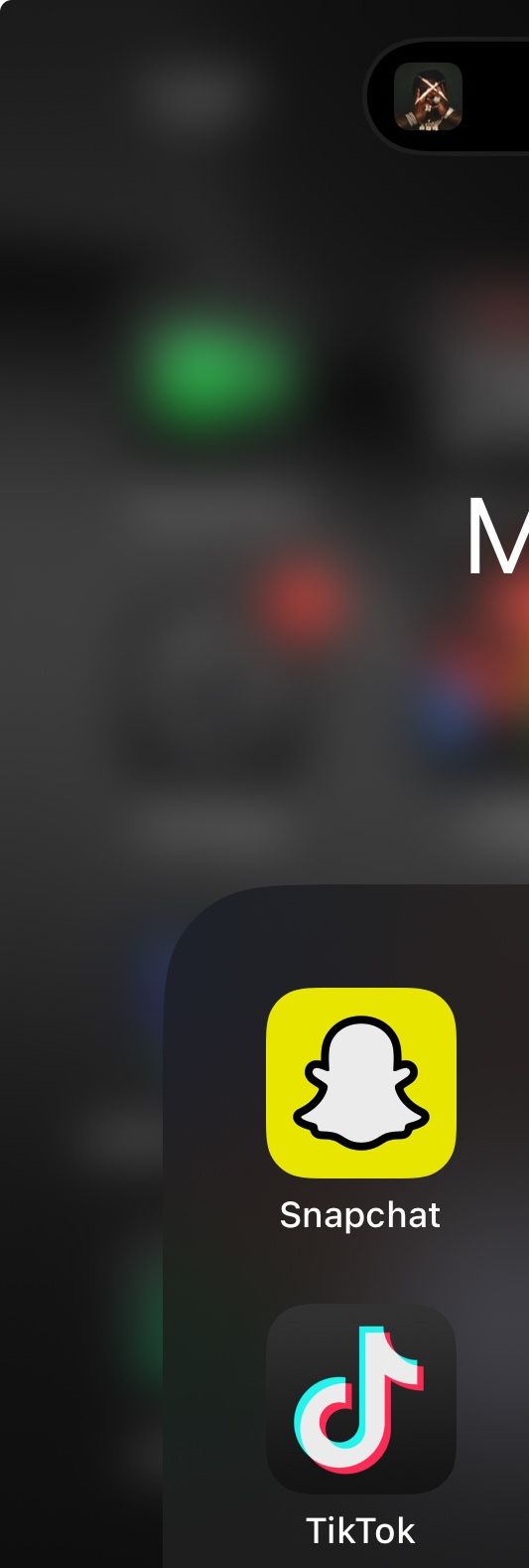 iPhone 16 Pro Max With TikTok Installed