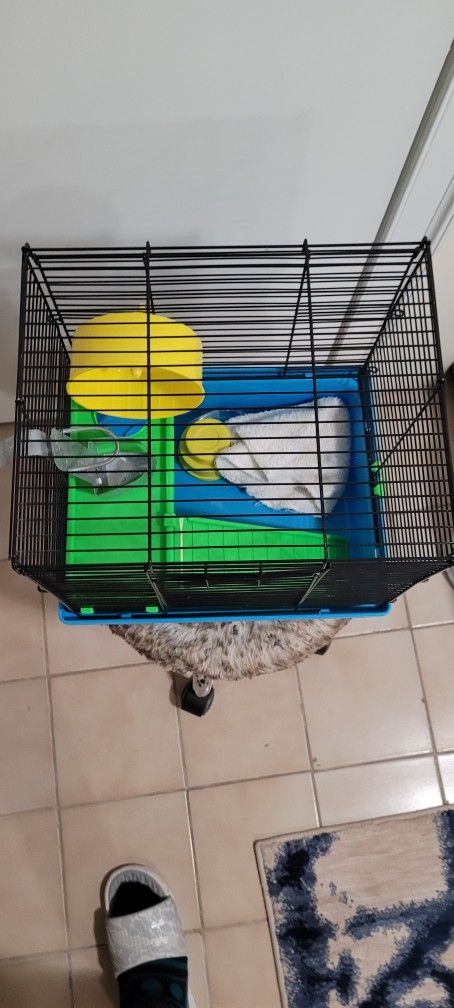 Bird Cage
