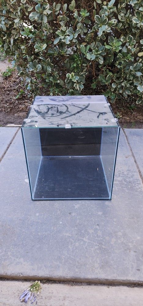 Fish Tank