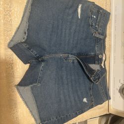 Women Shorts