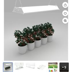 Indoor Grow Light