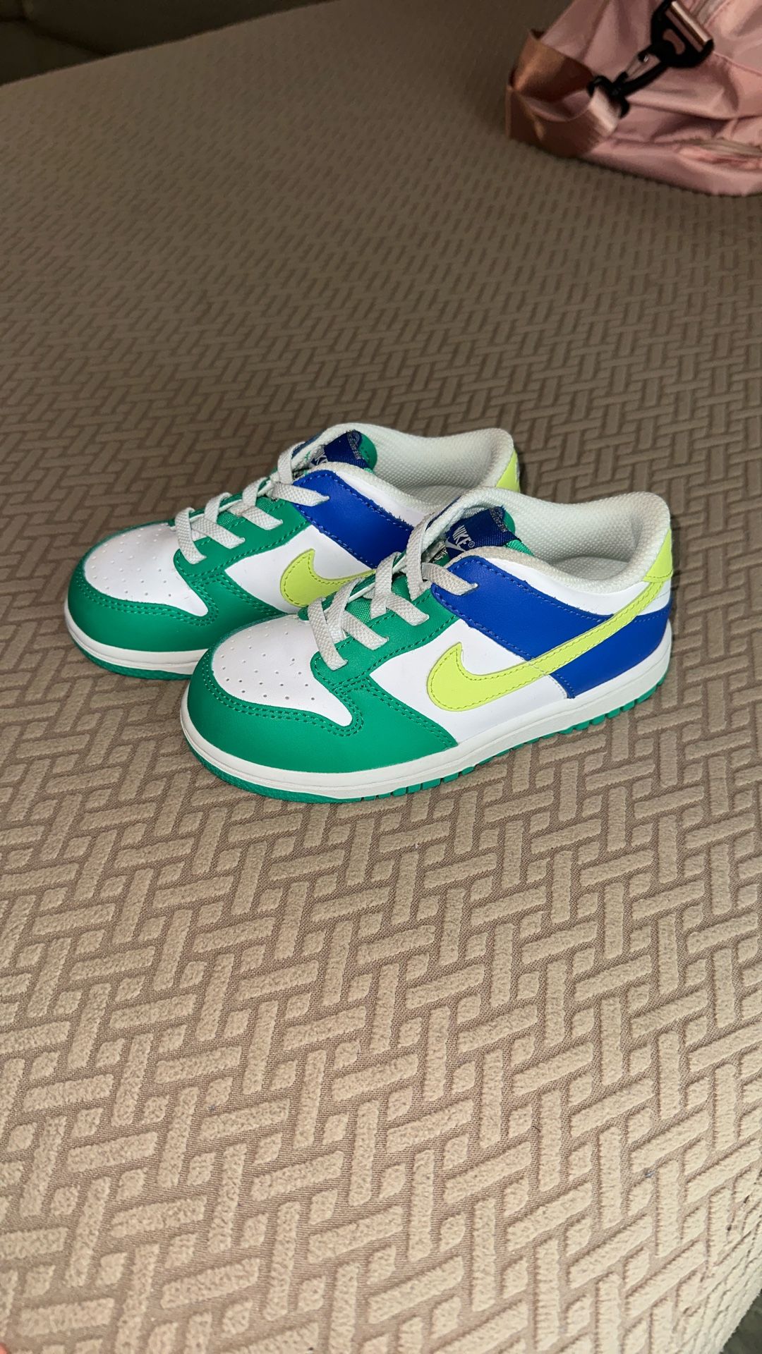 NIKE Dunk Toddler Kids’ Low US 10c