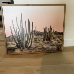 Scenic Desert Photo 🏜️ 🌵 