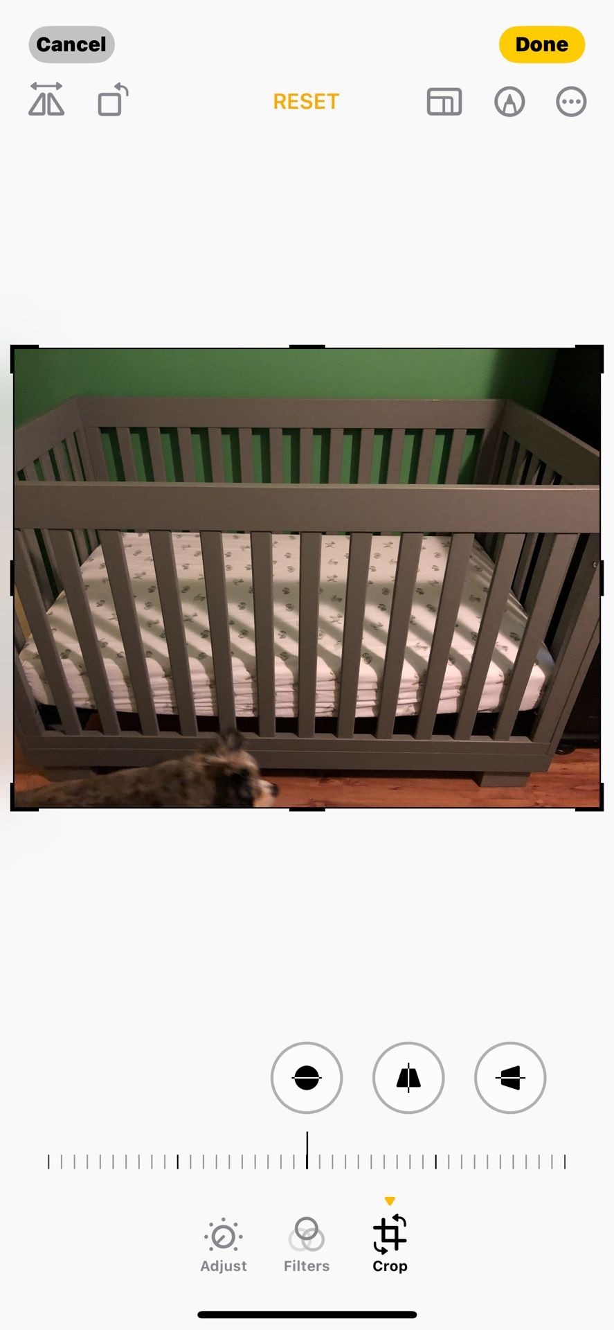 Baby Letto Modo 3 in 1 convertible crib in gray