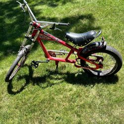 Sting Ray Cruiser Bike